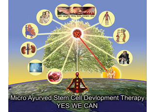 micro-ayurvedic-stem-cell-development-therapy